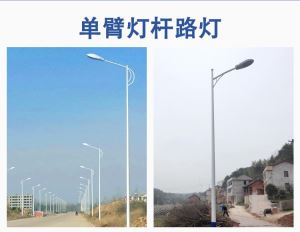 新款户外6米30W农村中国风路灯